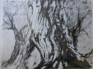Olivenbaum 1 Lithographie